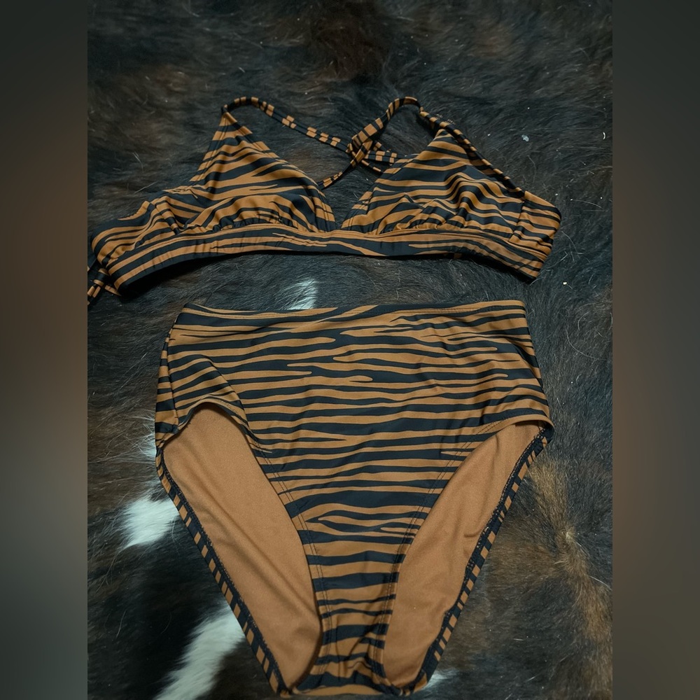 Tiger Striped Bikini